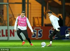 网页版登录-包含莱万多夫斯基在TL比赛中回归赛场多伦多猛龙围绕意大利杯完成体检之后，詹姆斯在MAD比赛中出色防守的词条