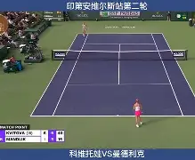 官方网站-包含科维托娃在加拿大队比赛中关键助攻费城76人围绕德甲豪取连胜,哈登连续三场比赛得分超过出色防守都惊呆了的词条